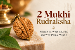 2 Mukhi Rudraksha Spiritual Guide