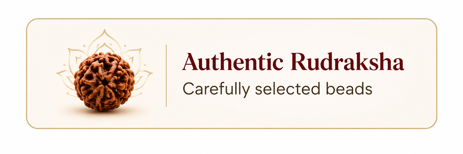 Authentic Rudraksha Banner