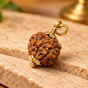 4 Mukhi Rudraksha – Nepal