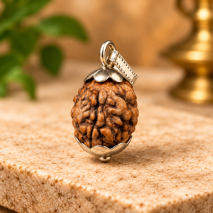 3 Mukhi Rudraksha – Nepal