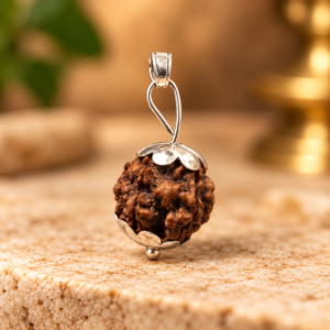 5 Mukhi Rudraksha – Nepal