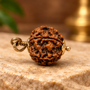 6 Mukhi Rudraksha